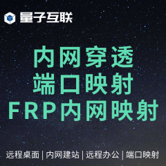 端口映射远程部署NAS/远程桌面/ERP映射/异地组网无公网IP路由器